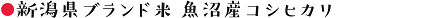 新潟県ブランド米　魚沼産コシヒカリ